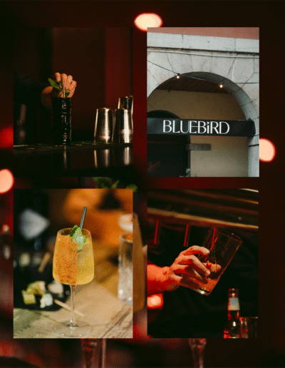 Bluebird cocktail bar, design branding site web et charte graphique par Ethos Studio