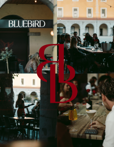 Bluebird cocktail bar, design branding site web et charte graphique par Ethos Studio